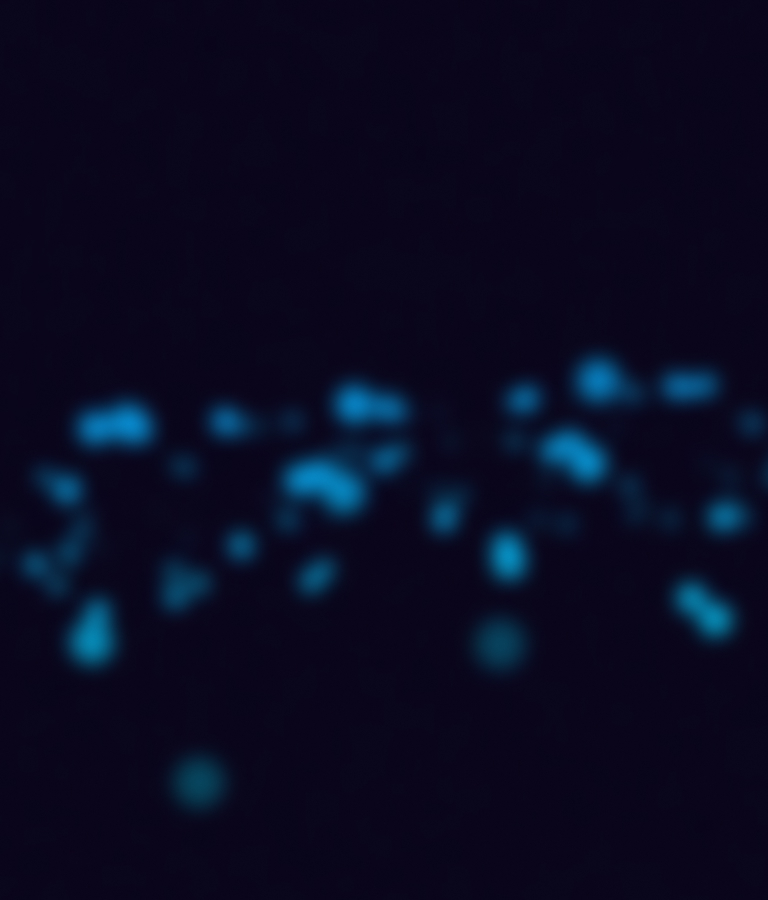 a1_bg01ph.jpg